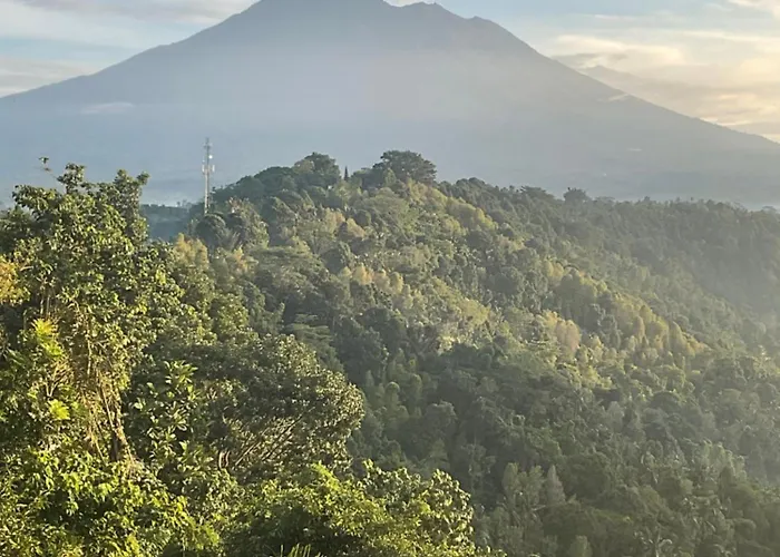 Hotel Damai Rohani Private Pool With Valley Views Adults Only Sidemen (Bali)