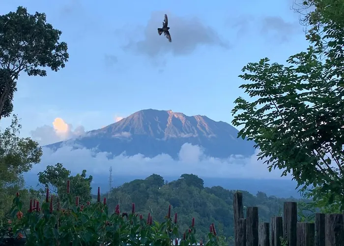 Damai Rohani Private Pool With Valley Views Adults Only